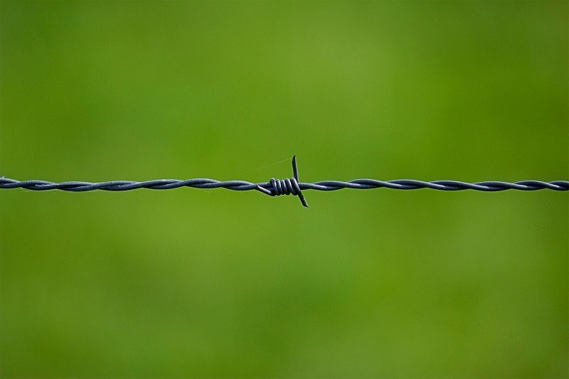 Barbed wire on a green background